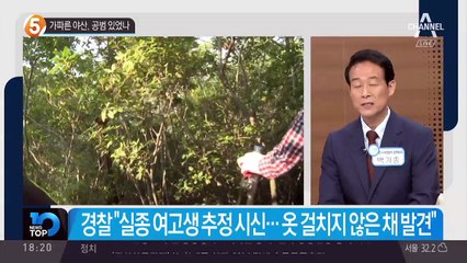 가파른 야산, 공범 있었나