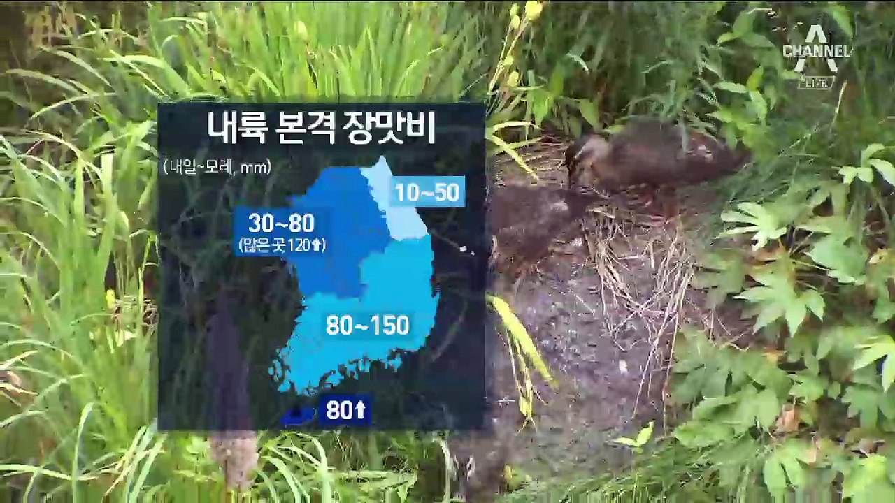 [날씨]전국 장마 시작…중부 최대 120mm 폭우