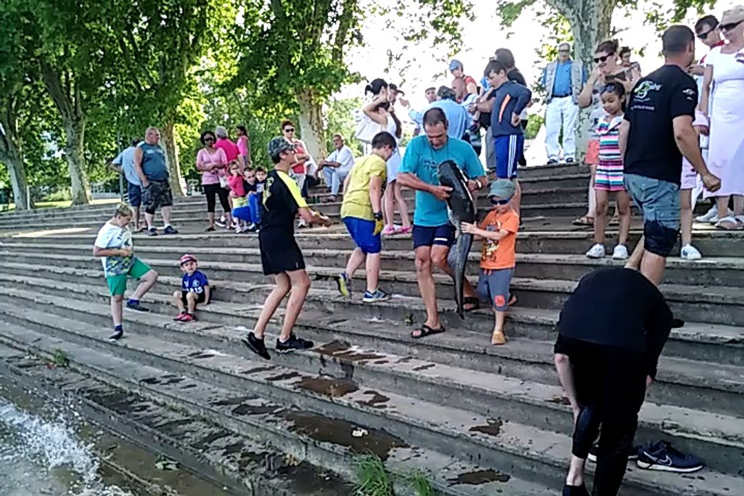 Mâcon Safari Silure 2018 La transmission d'une passion par Laurent Burgy, 3ème