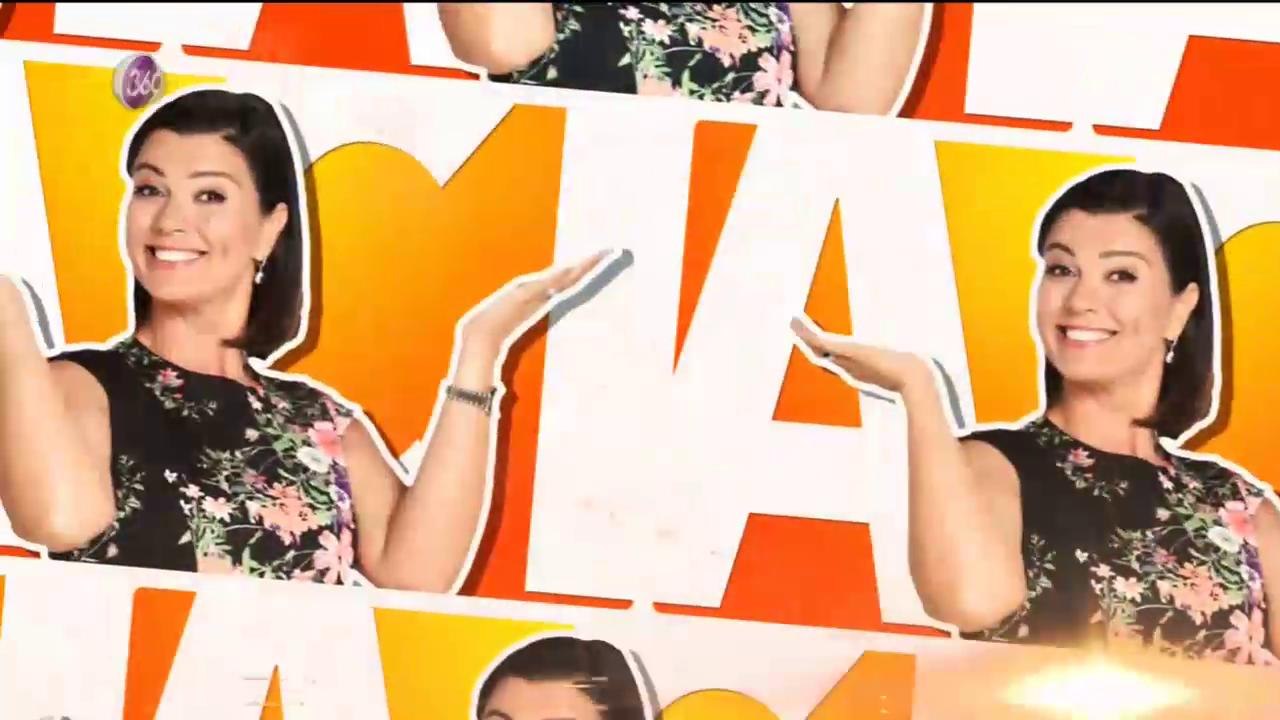 a1