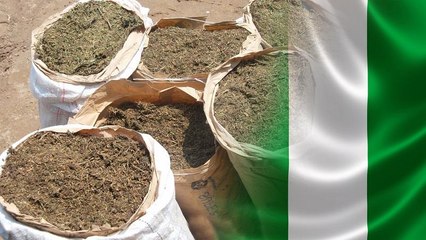 Video herunterladen: Nigerian authorities seize 3 tonnes of cannabis