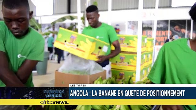 Fibre optique entre le Congo et le Cameroun, un support d'interconnexion régionale [Business Africa]