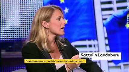 La bande de « la faute à l’Europe? » a reçu Karine Gloanec-Maurin, eurodéputée socialiste
