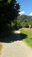 Invasion de pyrales de buis à la Combe à la serpent