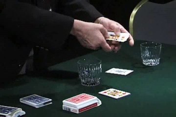 Derek Dingle - Dingle Delight