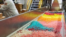 How Jelly Beans Are Made