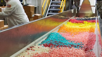 How Jelly Beans Are Made
