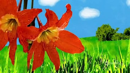 The Secret Life Of The American Teenager S01E04 Caught