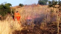 Incendi nelle campagne di Andria: intervengono i volontari federiciani