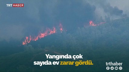 California'da çıkan yangın nedeniyle 3 bin kişi tahliye edildi