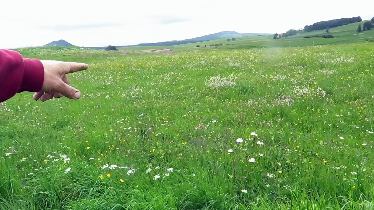 Ils veulent créer une « marque » viande de la montagne ardéchoise