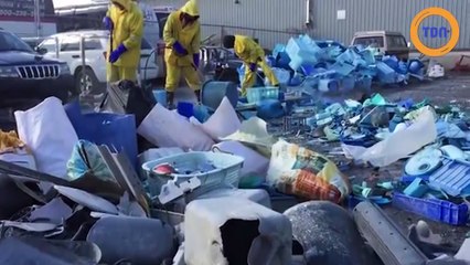 Une baleine en plastique contre la pollution
