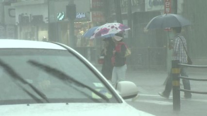 [날씨] 전국에 장맛비...집중 호우 피해 우려 / YTN