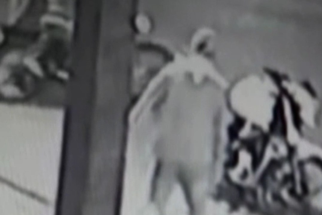 Alarma en la provincia de Los Ríos por los constantes robos que se realizan en motocicletas