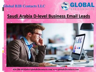 Saudi Arabia D-level Business Email Leads