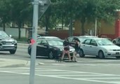 Women Help Gator Navigate Busy Intersection in Florida