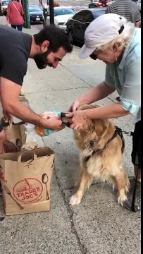 Caresser un chien en rentrant des courses