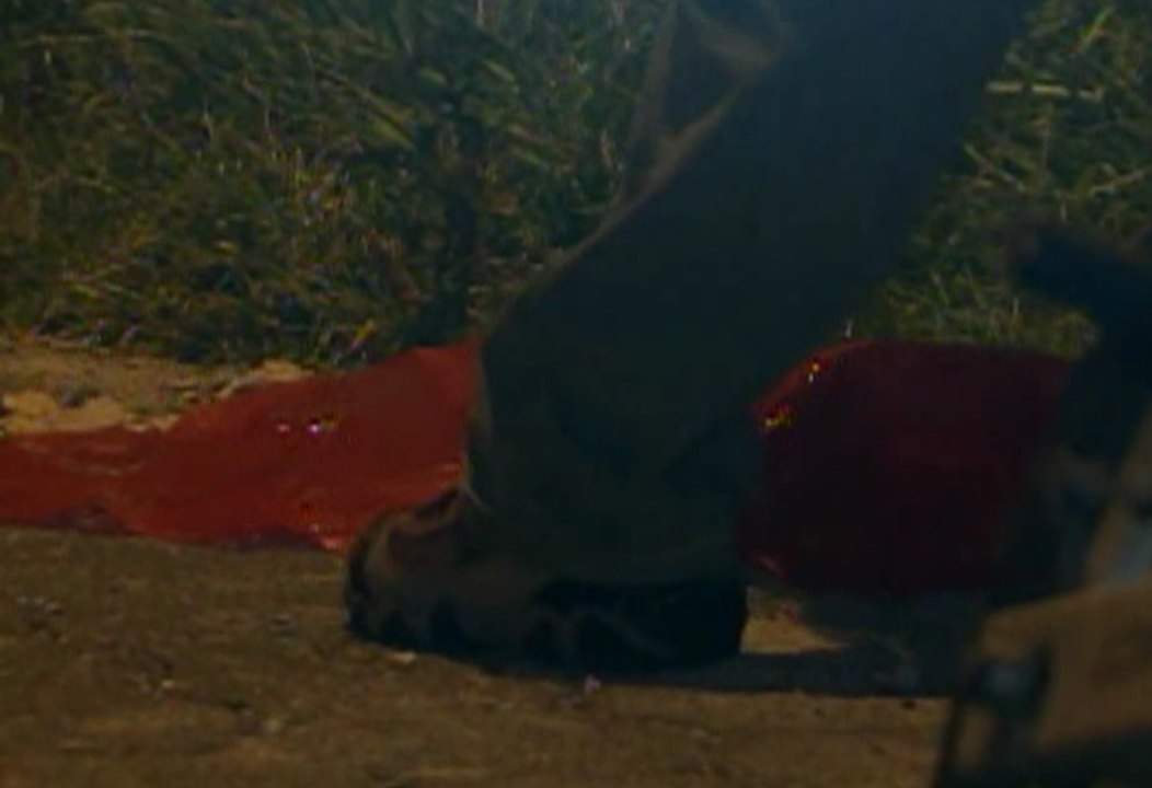 Perros hallan el cuerpo de un bebe recién nacido sin vida en Quito