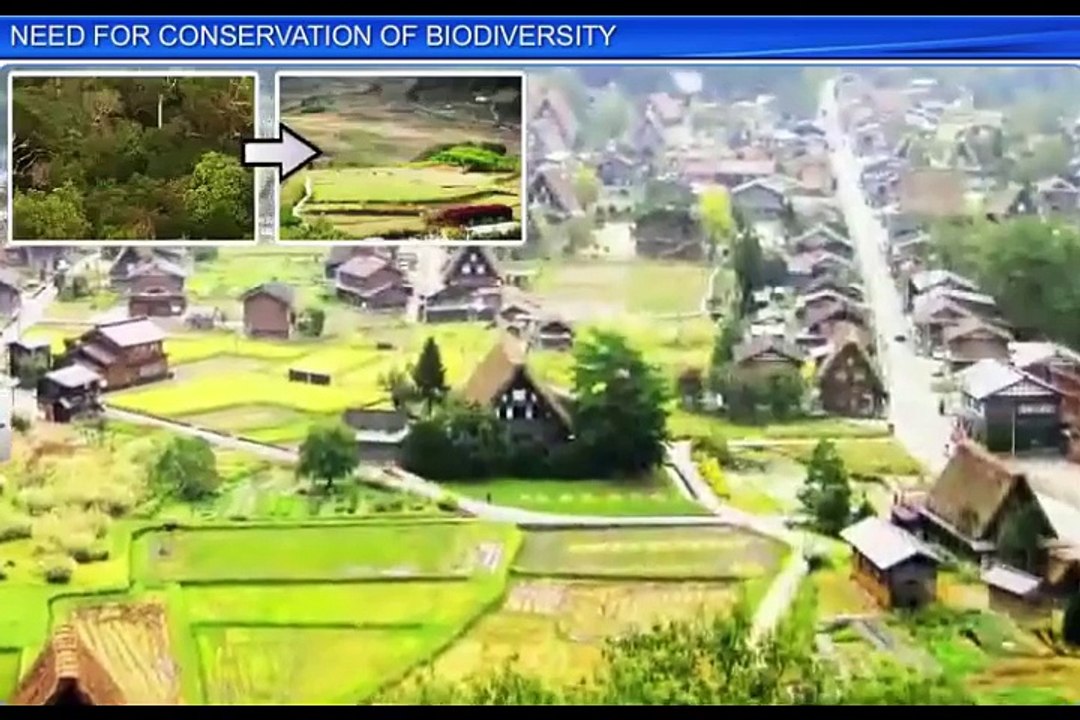 (1)CBSE Class 12 Biology, Biodiversity And Conservation -1, Need for Conservation of Biodiversity