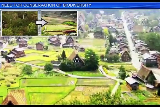 (1)CBSE Class 12 Biology, Biodiversity And Conservation -1, Need for Conservation of Biodiversity