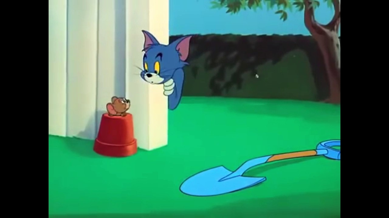 TOM and Jerry 4