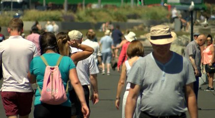 GOODLINES: June 26th 2018