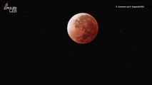 The Upcoming Blood Moon Will Be the Longest Lunar Eclipse This Century