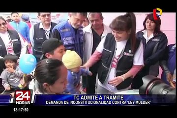 TC admitió demanda de inconstitucionalidad contra ‘Ley Mulder’