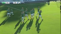 3-2 Robbin Sellin Goal Sweden  Superettan - 25.06.2018 IK Brage 3-2 Halmstads BK