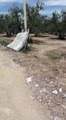 Andria: mancanza di asfalto e rifiuti abbandonati in via Louis Pasteur