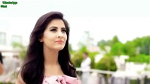 Desi Desi Na Bolya Kar - Vicky Kajla & Raju Punjabi - Latest Punjabi 2017 - WhatsApp Status Video -