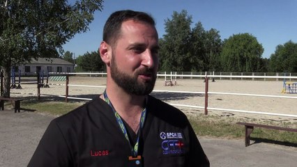 Un sueño americano para perros de Chernóbil