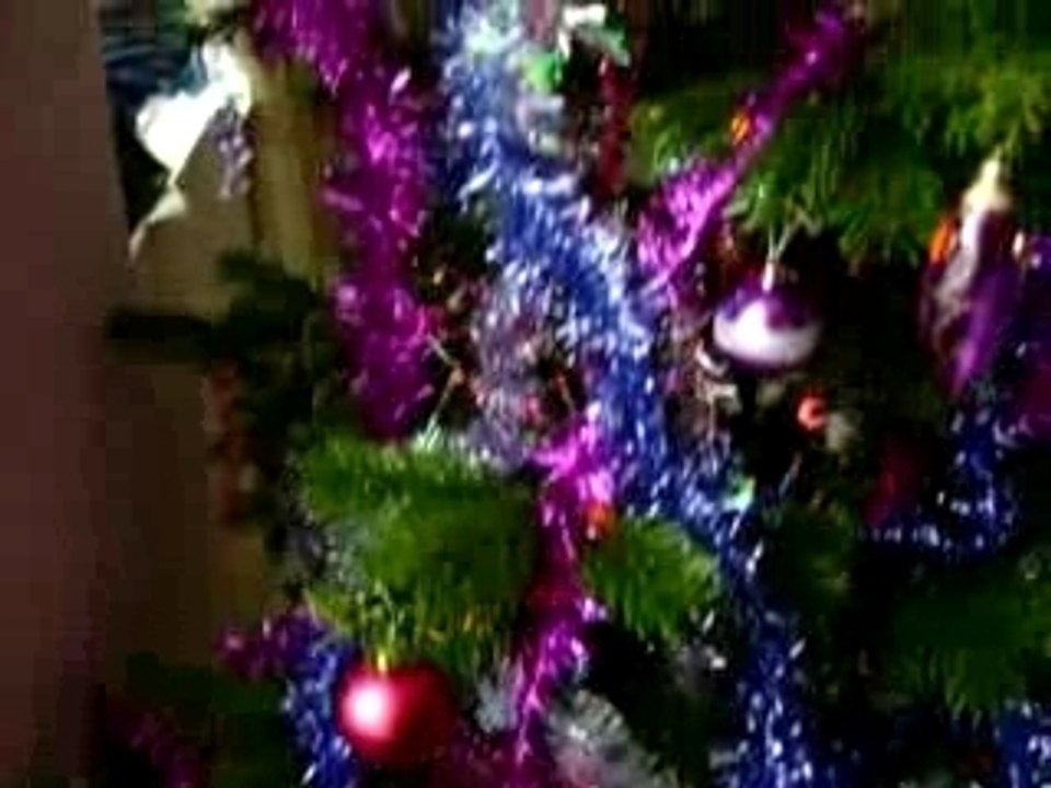 sapin décembre 2007
