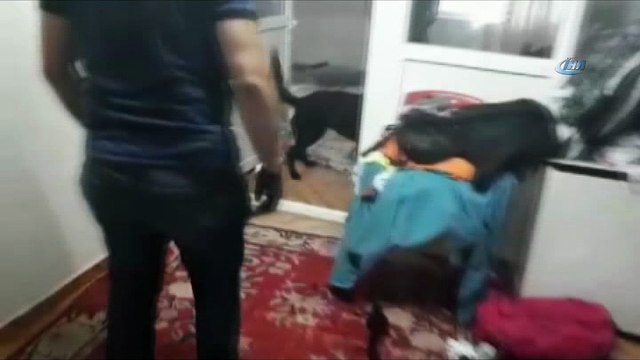 Kahramanmaraş’ta uyuşturucu operasyonu: 1 kilo 63 gram esrar, 16 kök kenevir bitkisi ele geçirildi