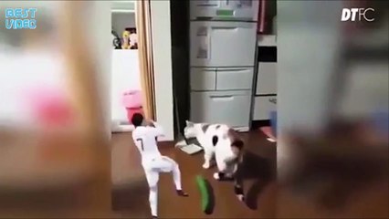 Когда Роналду празднует гол