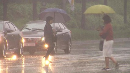 [날씨] 여름 장마 시작...중서부 호우·강풍 / YTN
