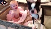 Der Hund wollte nicht aus dem Bett des Babys, bis die Mutter anfing zu lachen