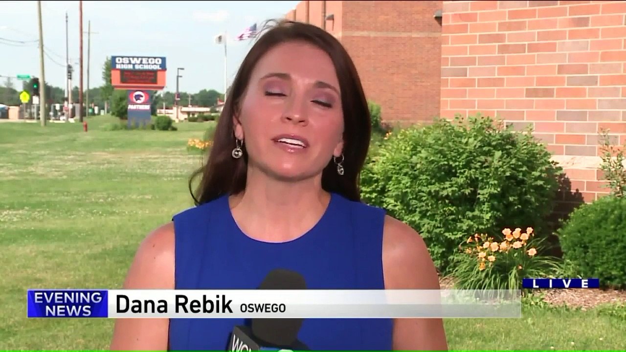 Illinois High School Softball Coach Dies in Apparent HitAndRun Crash