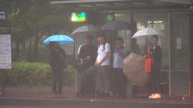 [날씨] 서울 올여름 첫 호우주의보...출근길 중서부 폭우 / YTN