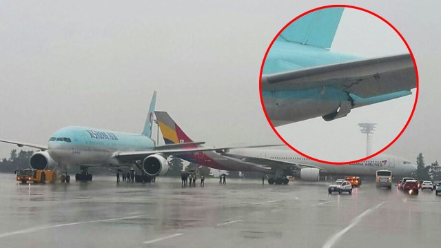 [속보] 김포공항 아시아나-대한항공 항공기 충돌...인명피해 없어 / YTN