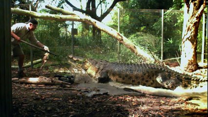 ดู Dangerous Encounters ซีซั่น5 ตอน2