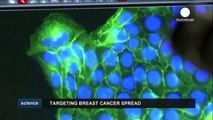 Kanser araştırmalarında çığır açacak buluş - science