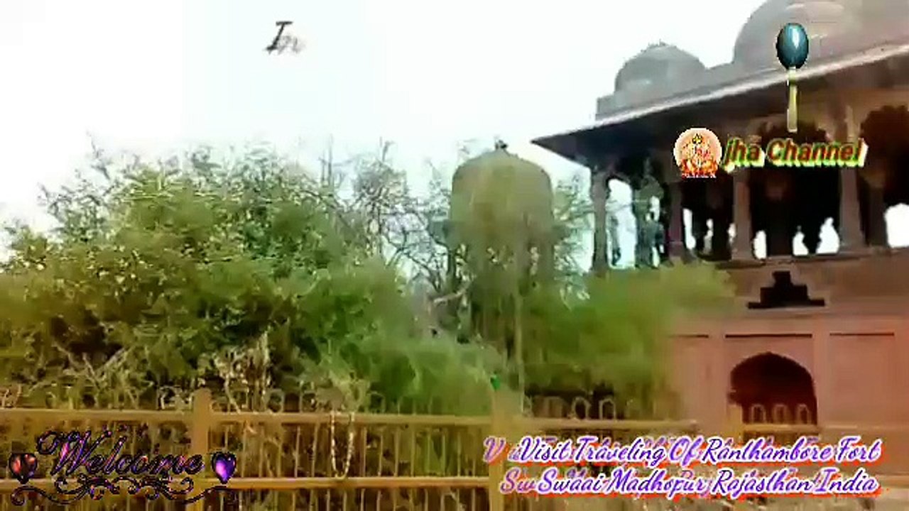 Visit Traveling of Famous Ranthambore Fort Swaai Madhopur Rajasthan India ☸☸☸☸ Imagine my first Life