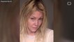 Heather Locklear Arrested for Battery
