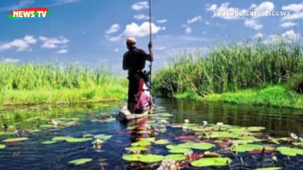 Những sự thực khủng khiếp về cuộc sống trong đầm lầy