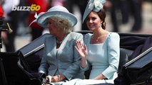 Duchess of Cambridge, Kate Middleton, Could Take Princess Diana’s Title One Day