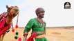कदी आवोनी रसीला मारे देश - Kinjal Dave का राजस्थानी गीत एक नये अंदाज मैं आपको जरूर पसंद आयेगा