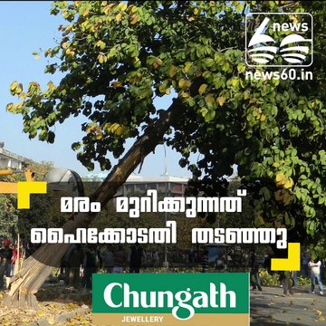 high court stays cutting trees for development projects