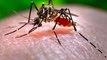 Mosquitoes Bite Some People More Than Others: इसलिए इन लोगों का ज्यादा खून पीतें हैं मच्छर | Boldsky