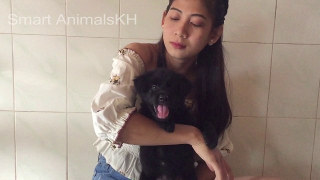 Cuties Funny girl and Dog Group - Kindly girl give special food to my Funny Puppies (2)